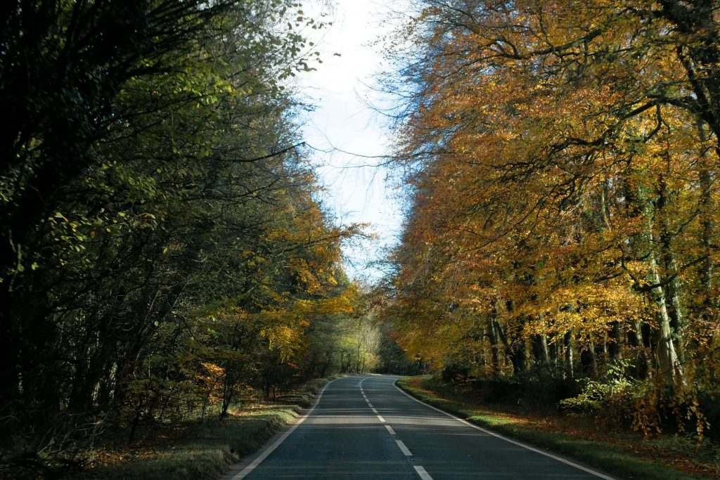 Autumn in England! เที่ยวอังกฤษ เมืองผู้ดีในฤดูใบไม้ร่วงกัน